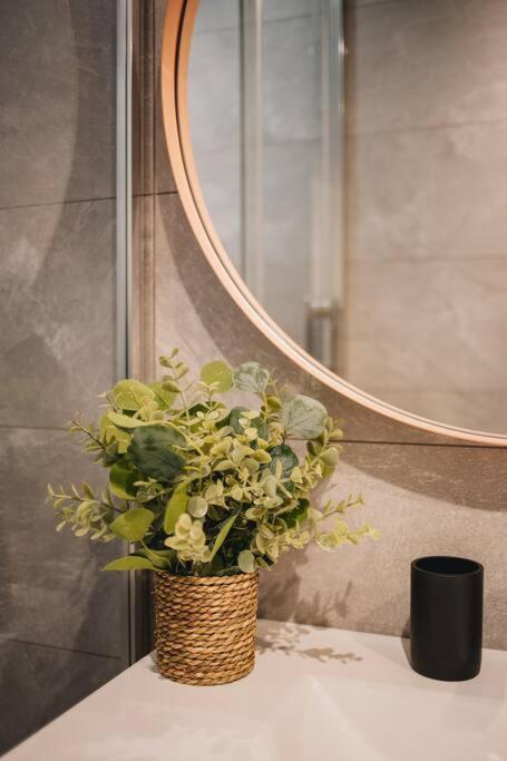 La Vie En Rose - Luxe, Calme & Hypercentre - 3* Apartment Annecy Exterior foto
