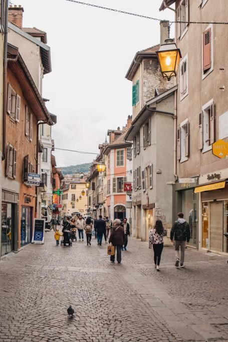 La Vie En Rose - Luxe, Calme & Hypercentre - 3* Apartment Annecy Exterior foto